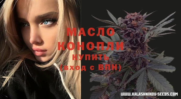 прущий лед Михайлов