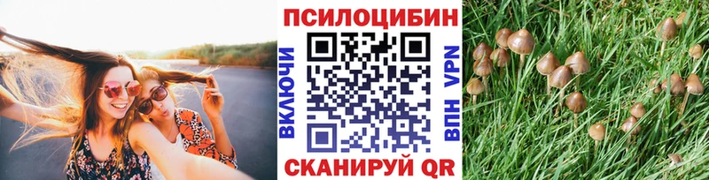 Галлюциногенные грибы Cubensis  Южно-Сухокумск 